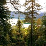 Profile Picture of Leonard J. Ascherfeld (@leonardascherfeld) on Instagram