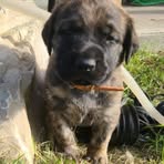 Mario Depelteau - Facebook Profile Picture of Mario Depelteau (@mario.depelteau.9) on Facebook