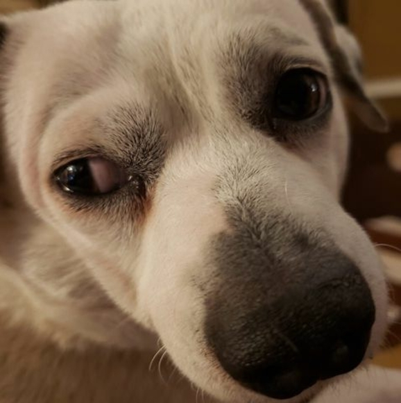 Profile Picture of Timothy Hughes (@c8_baker) on Poshmark