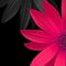 Profile Picture of Wanda Trosclair (@wanda.trosclair.18) on Facebook