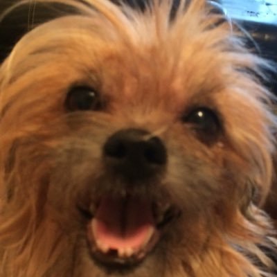 Profile Picture of Zachary Childers (@zac5441) on Twitter