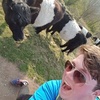 Profile Picture of Joshua Mace (@@jtmace) on Tiktok