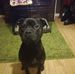 Profile Picture of Derek Hearns (@derek.hearns.336) on Facebook