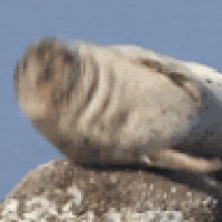 Profile Picture of Jacob Winfield (@jacob-winfield-6) on Quora