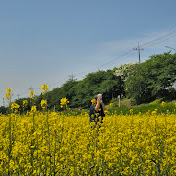 Profile Picture of Lily Cho (@Lilyflowercho) on Youtube