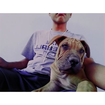 Profile Picture of Christopher Solis (@Pikachu3774) on Twitter