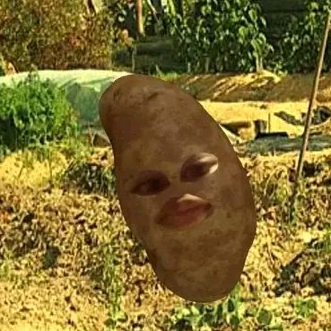 Profile Picture of Ian Clifford (@@cliffordz) on Tiktok