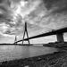 Profile Picture of Ernest Alarcon (@alarcon2055) on Pinterest