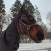 Profile Picture of Susanna Toomla (@Susanna-Toomla) on Facebook