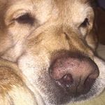 Profile Picture of Luke Berler (@lukeberler) on Instagram