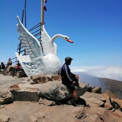 Profile Picture of Kenny Calderon (@kennycalderon2) on Twitter