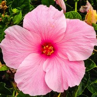 Julianna Horne - Quora Profile Picture of Julianna Horne (@julianna-horne) on Quora