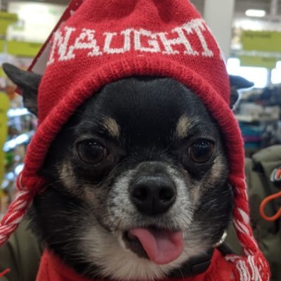 Profile Picture of Joyce Heath  🌸 (@JoyceHe71467748) on Twitter