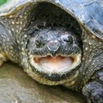 brandon conybeare - Instagram Profile Picture of brandon conybeare (@conybearebrandon) on Instagram