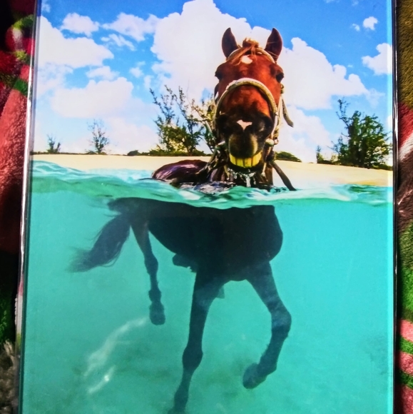 Tonya Liscombe - Poshmark Profile Picture of Tonya Liscombe (@tonyaliscombe) on Poshmark