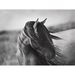 Profile Picture of Mary Rehfeldt (@maryrehfeldt) on Pinterest