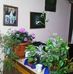 Profile Picture of Gusti Galea (@gusti.galea.5) on Facebook