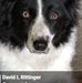 Profile Picture of David L Rittinger (@david.rittinger) on Facebook
