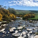 Profile Picture of James Corcoran (@jamescorcoran788766) on Instagram