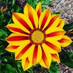 Profile Picture of Jasmine Devine (@devinejasmine) on Instagram