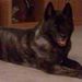Profile Picture of Brianna Bryan Revels (@bri1130) on Pinterest