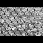 Profile Picture of Roberta (@robertafryecic3) on Instagram