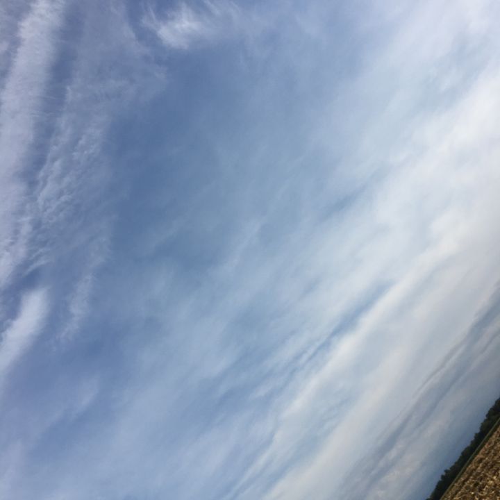 Profile Picture of Olivia Riddle🤗🤪👿👻 (@olivia506913292tigera) on Tiktok