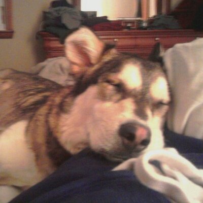 Profile Picture of Joseph Carli (@ChefCarli) on Twitter