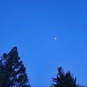 Profile Picture of Eun Jang (@Jangargent) on Youtube