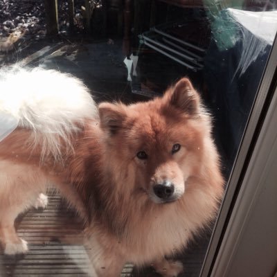 Profile Picture of Alexander Foy (@CapitanSpaz) on Twitter