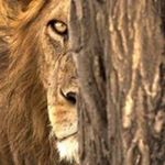 Profile Picture of Daniel Robleto (@danielorobleto) on Instagram