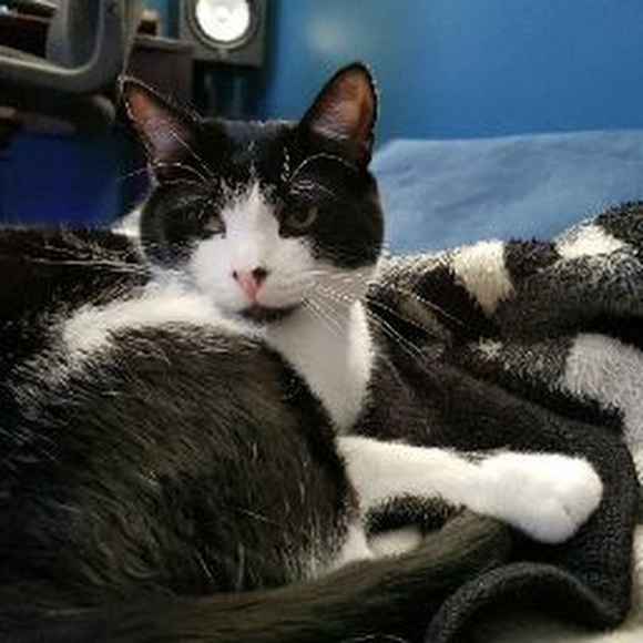 Profile Picture of Tyler Luna (@localrabbit) on Poshmark