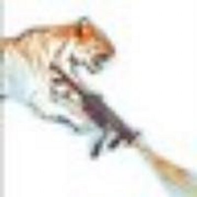 Profile Picture of Lucie Lambert Bourg (@LucieLB1993) on Twitter