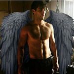 Profile Picture of Matthew O'Connor Petrova (@deviltoxiic) on Instagram