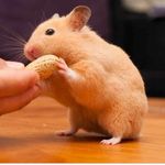 Profile Picture of Mundo _de_Jerry (@mundo_de_jerry) on Instagram