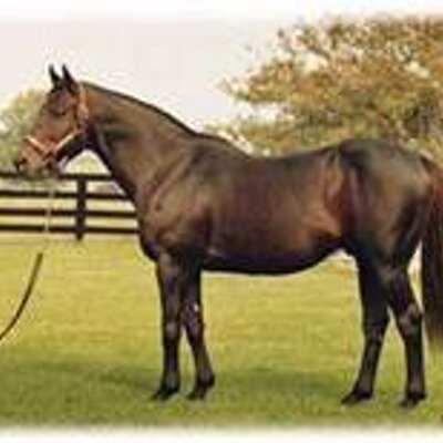 Profile Picture of Aria (@Aria_Case_17) on Twitter