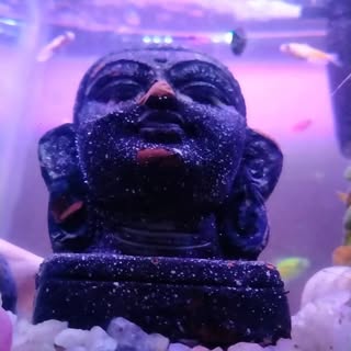 Profile Picture of photo grapher (@josephashy1) on Instagram