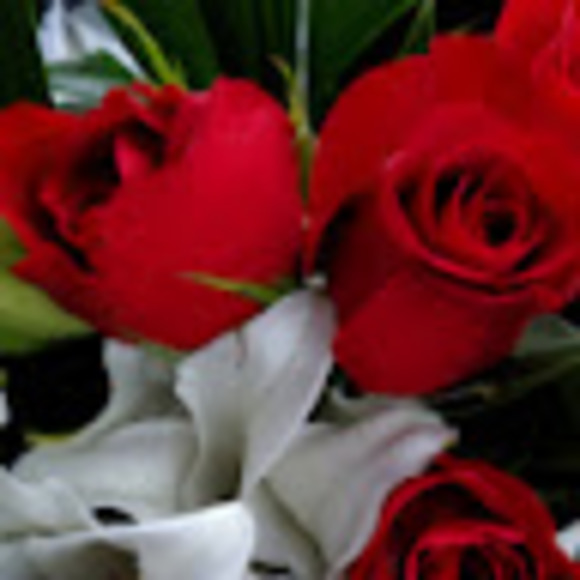 Beth Cultrera - Poshmark Profile Picture of Beth Cultrera (@bunky071964) on Poshmark