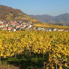 Profile Picture of NichtSeneca (@GerhardBinder1) on Twitter