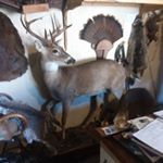 Profile Picture of Bobby Holladay (@bobby.holladay.712) on Instagram