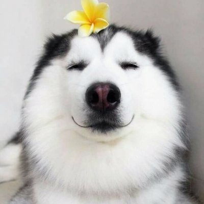 Profile Picture of Mark Anthony Navarro Dano (@xMummRaHx) on Twitter