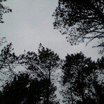 Profile Picture of inge_nice1 (@inge_nice1) on Instagram