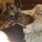 Profile Picture of James Cowles (@James-Cowles) on Facebook