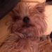 Profile Picture of Dixie Heyes (@dixie.heyes) on Facebook