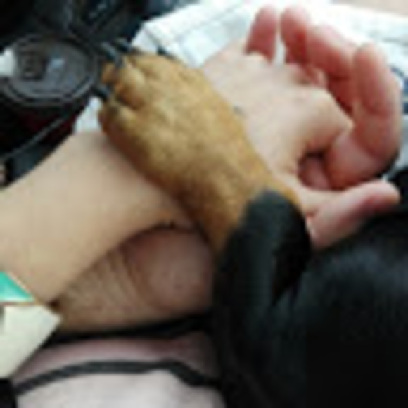 Profile Picture of Daniela Chan viquez (@dcv887) on Poshmark