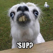 Profile Picture of Matthew Oertel (@matthewoertel2454) on Youtube