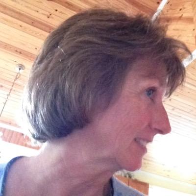 Profile Picture of Ann Mink (@AnnMink16) on Twitter