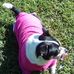Profile Picture of Jimmy Glisson (Crazy Carol) (@jimmy.glisson.37) on Facebook