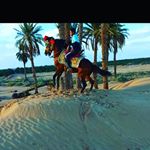 Profile Picture of Mohamed Omran (@mohamed.omran.33671) on Instagram