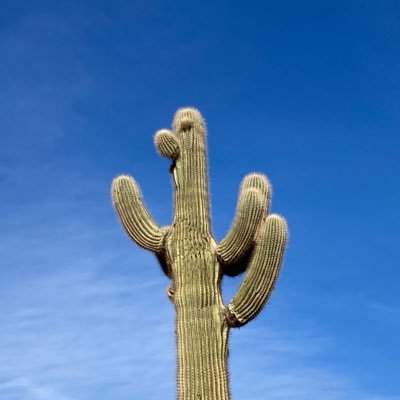 Profile Picture of Steve Trudell (@SteveTrudell3) on Twitter